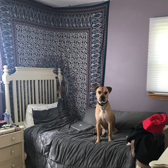 Urban outfitters tapestry!! - Picture 1 of 2